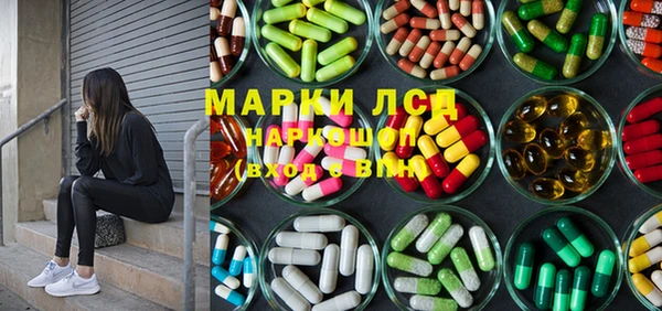 стафф Осинники