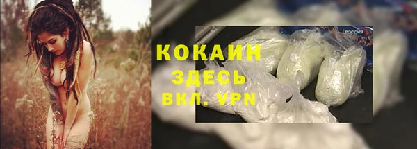 молекула духа Абинск