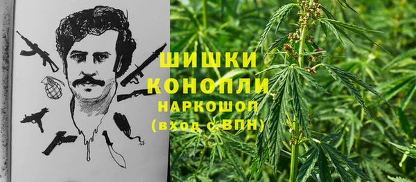 молекула духа Абинск