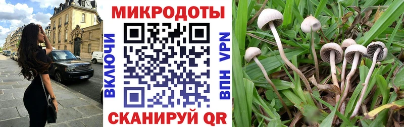 Галлюциногенные грибы ЛСД мориарти официальный сайт Зеленодольск как найти