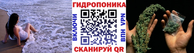 площадка состав  ссылка на мегу ONION  Зеленодольск  МАРИХУАНА марихуана 